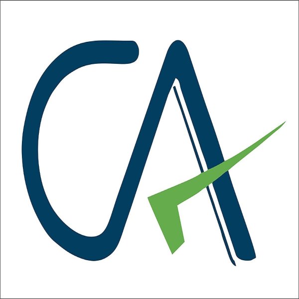 CA Office Revenue _ Reports _Partner Wise 